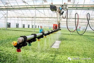 怪不得我国农业机械一直 不温不火 原因在这